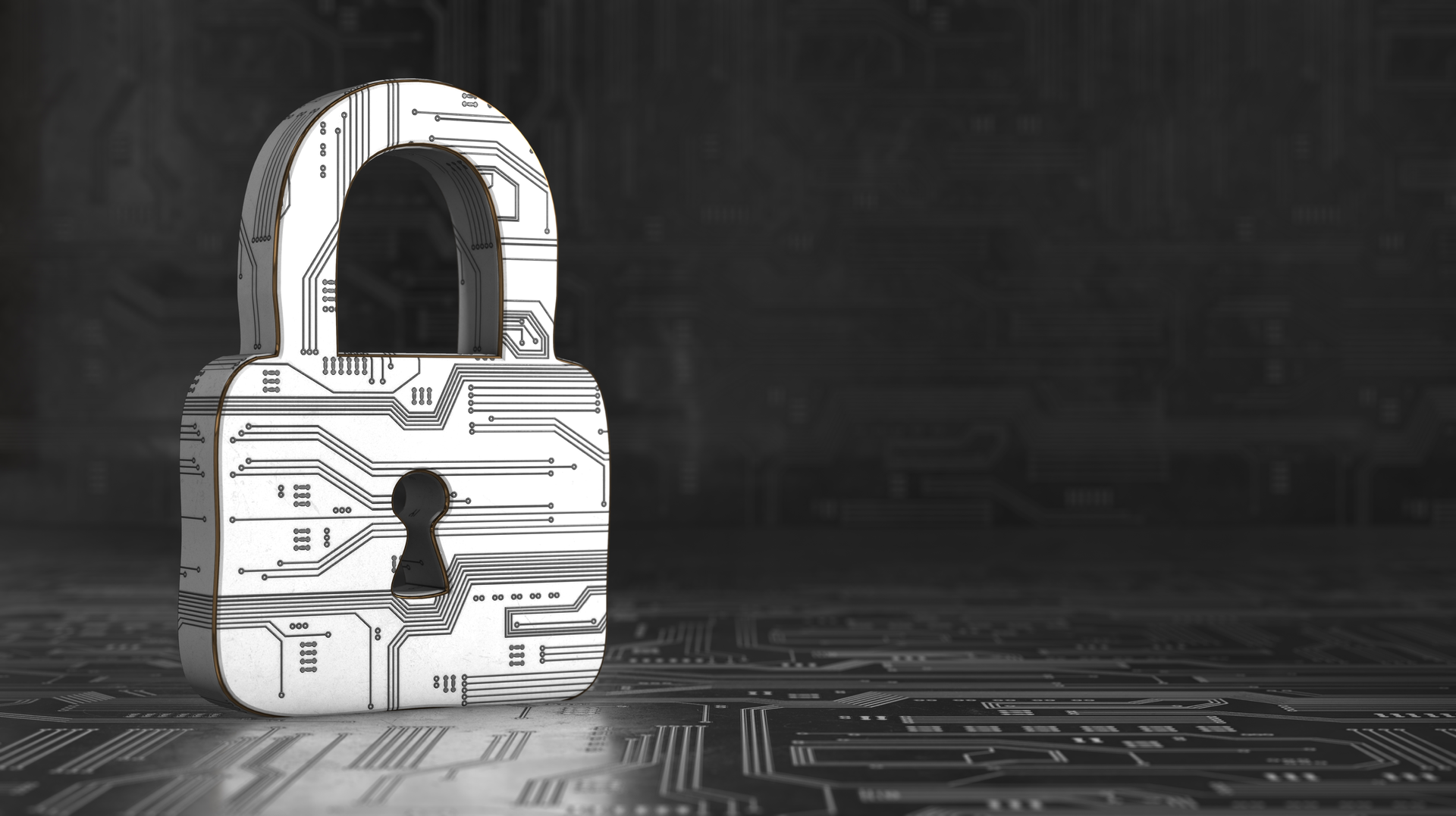 Shutterstock 2054633267 6385218e3e050