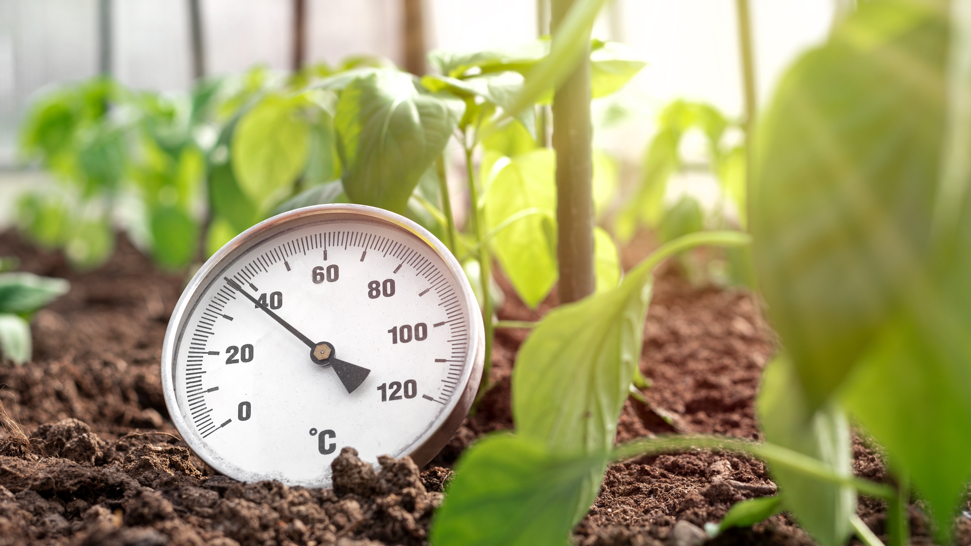 Shutterstock 2155023227 6398e1980fc9d