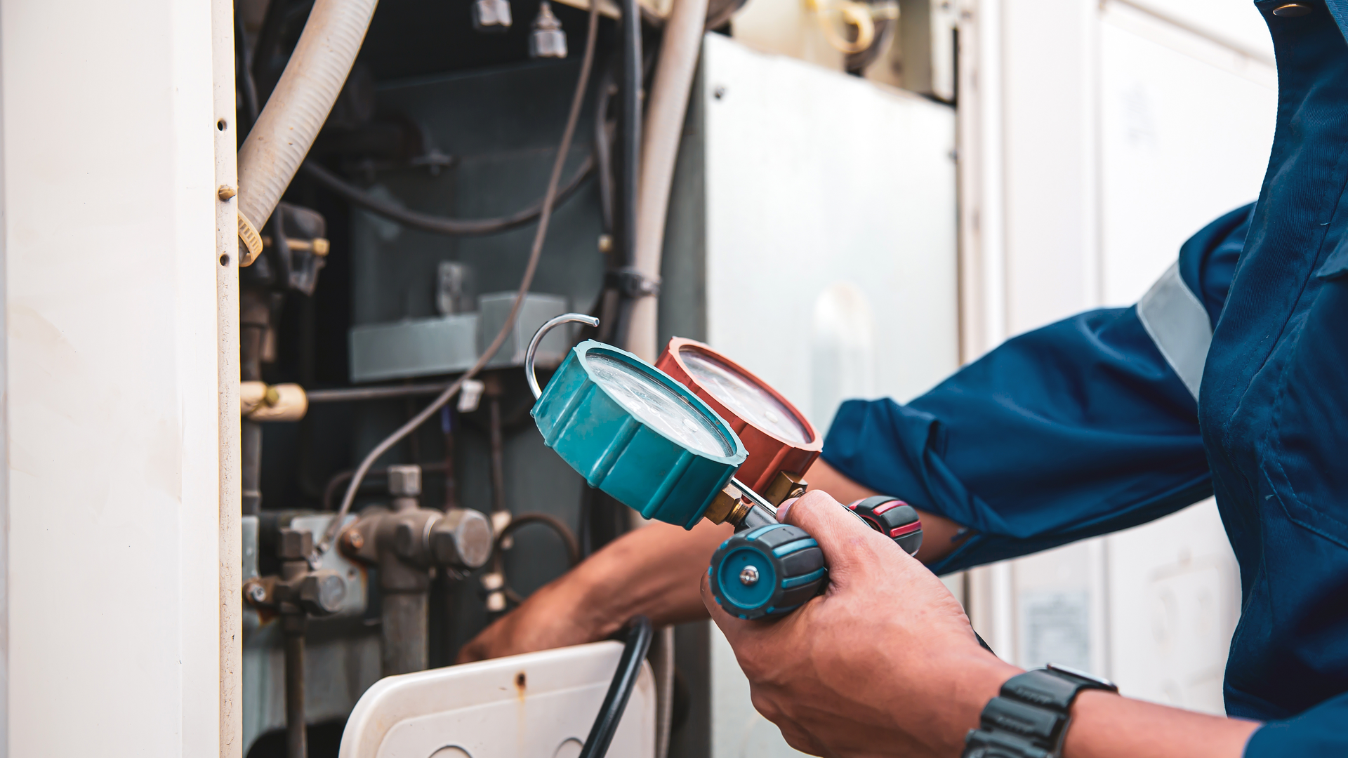 Shutterstock 2129348684 63c6f7ae16cd6