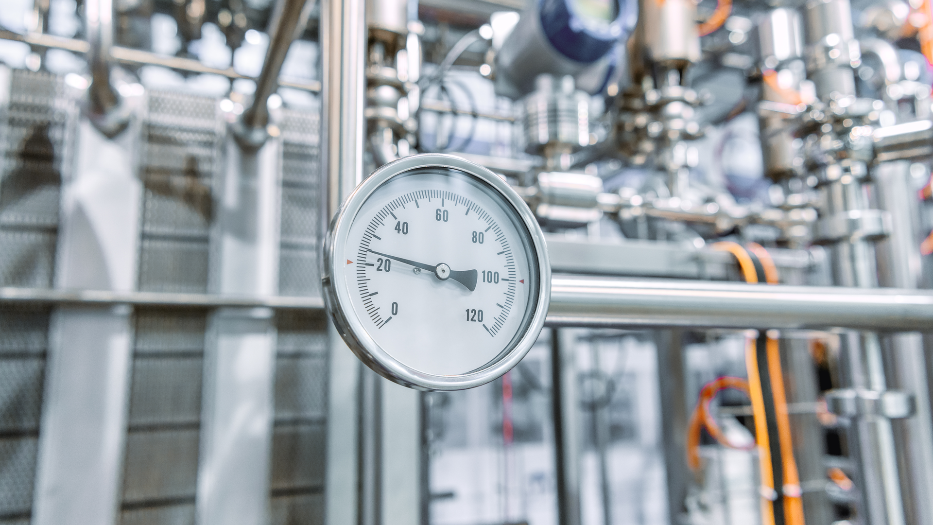 Shutterstock 1873645333 63dc15b6865da