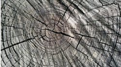 Ll Main Image Ll Main Image