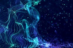 Dreamstime 110535890 64d1016e1bdca Dreamstime 110535890 64d1016e1bdca