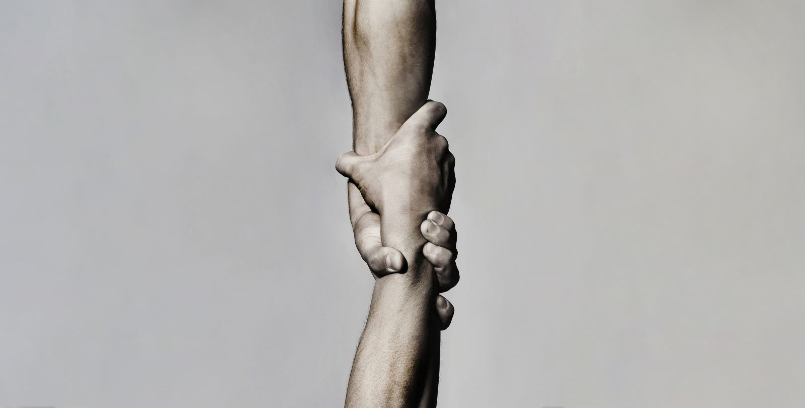 Supply Chain 64d0fd0577d12