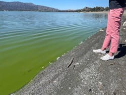 Harmful algal blooms (HAB) aren’t confined to Florida. Lake Elsinore in California was closed for recreation due to dangerous levels of algal toxins for all but five weeks from August 2022 to April 2023 Harmful algal blooms (HAB) aren’t confined to Florida. Lake Elsinore in California was closed for recreation due to dangerous levels of algal toxins for all but five weeks from August 2022 to April 2023