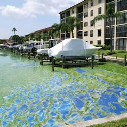 Algae buildup in the waters in Lee County, Fla., threated tourism and posed health risks for residents.