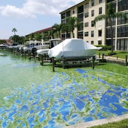 Algae buildup in the waters in Lee County, Fla., threated tourism and posed health risks for residents. Algae buildup in the waters in Lee County, Fla., threated tourism and posed health risks for residents.