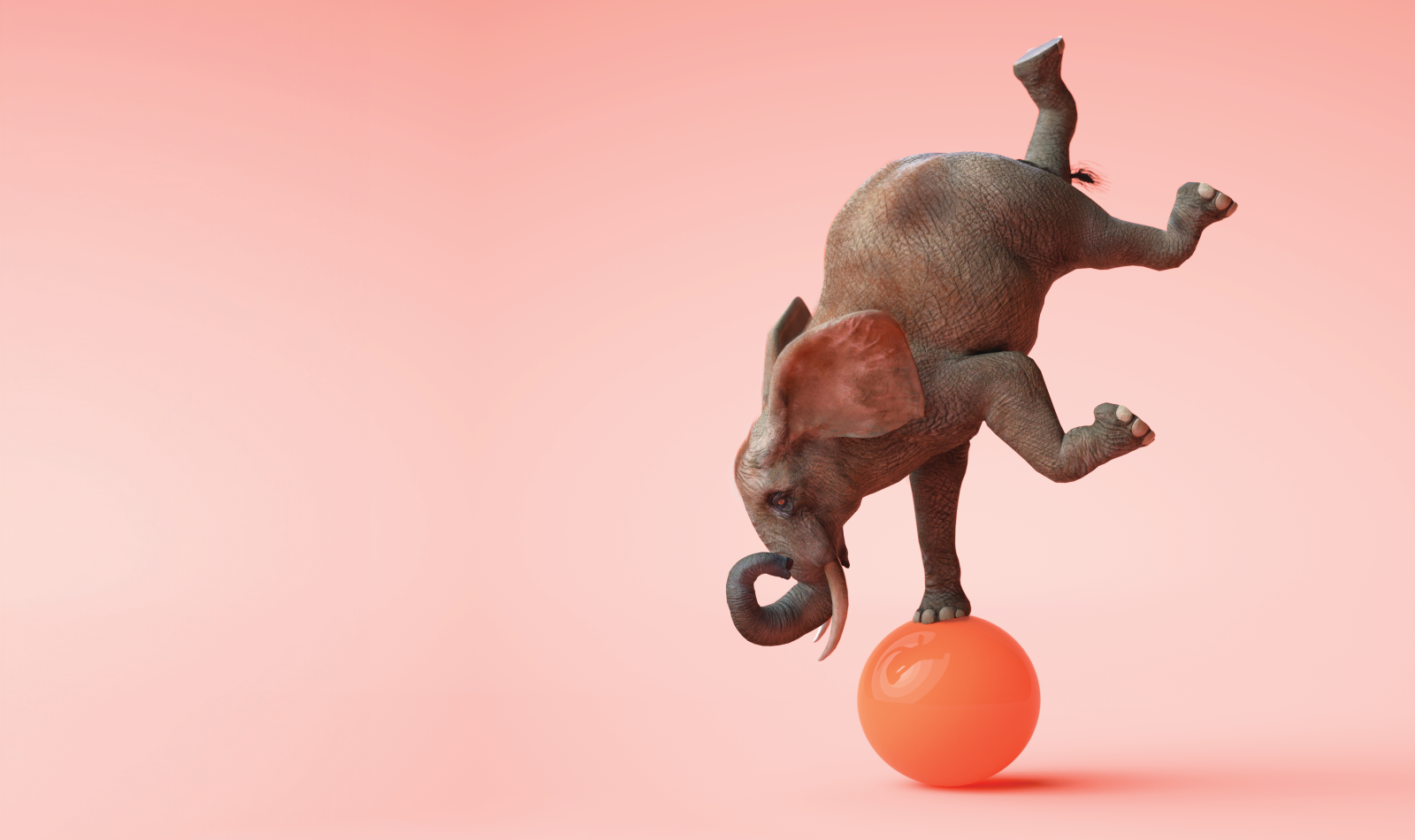 Stability Expected 65299d349de3b