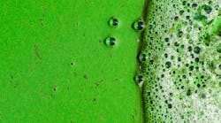 Clearing Harmful Algal Blooms 652da355eb74d Clearing Harmful Algal Blooms 652da355eb74d