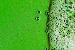 Clearing Harmful Algal Blooms 652da355eb74d Clearing Harmful Algal Blooms 652da355eb74d