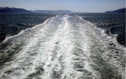 Whitewater surfaces can be formed by using nozzle or shaker technologies to create microbubbles or sea foam, and its life can be extended from a few to many hours by spraying surfactants on them. Whitewater surfaces can be formed by using nozzle or shaker technologies to create microbubbles or sea foam, and its life can be extended from a few to many hours by spraying surfactants on them.