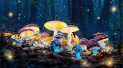 live_and_active_cybersecurity live_and_active_cybersecurity