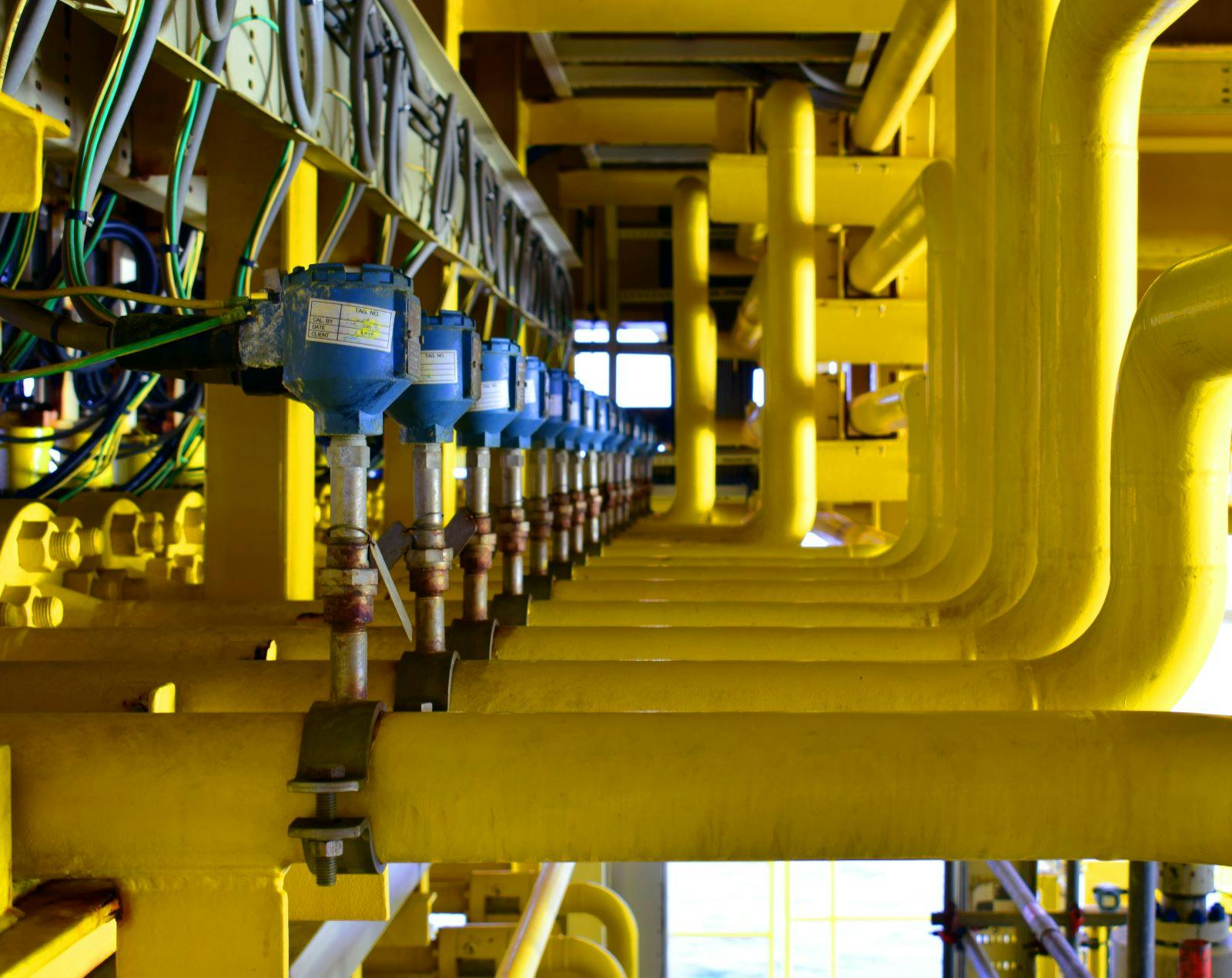 65df55e187efb3001ec39fb7 March Otb