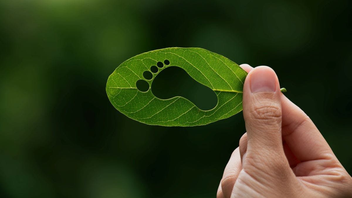 665ddd55a1291c4a782bf589 Processing The Human Footprints Impact