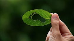 processing_the_human_footprints_impact processing_the_human_footprints_impact