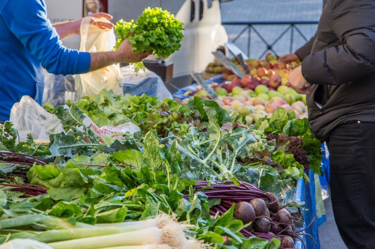 this_little_instrument_went_to_market