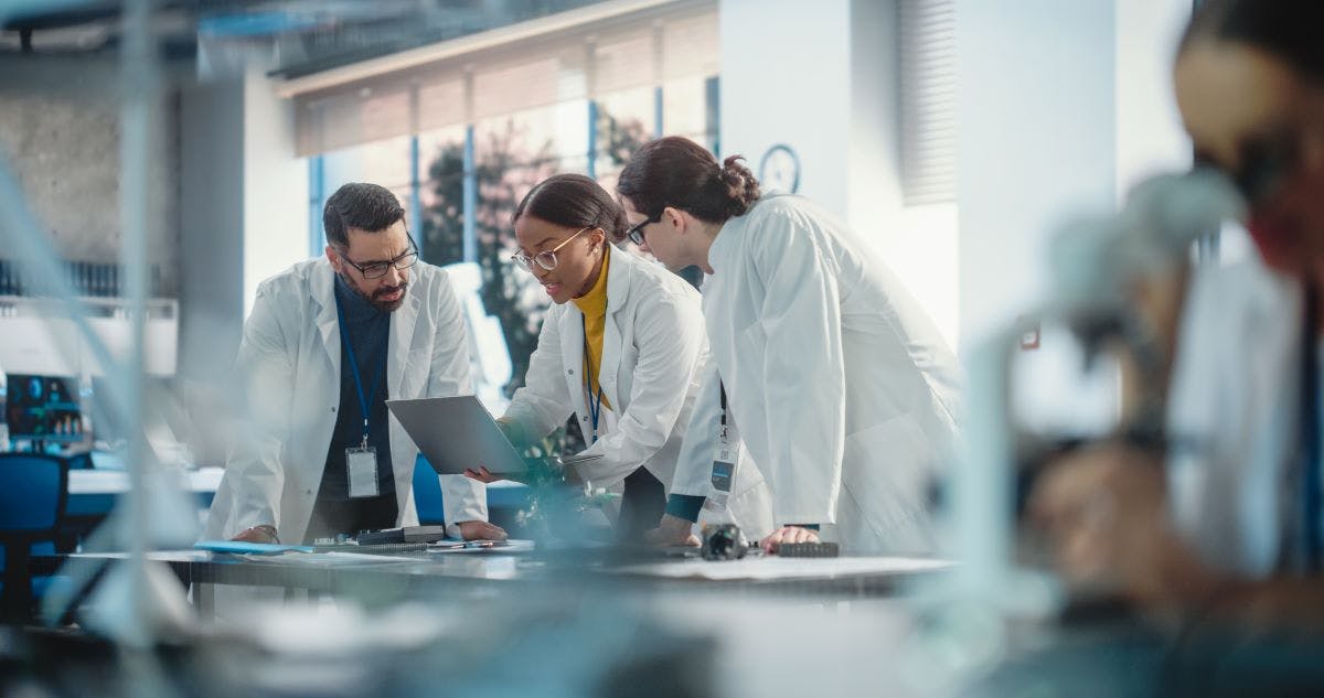 66b23323449d6b5f67a8266c The Lab Is Always Right