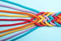 shutterstock_1612677316 shutterstock_1612677316