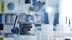 shutterstock_2475093333 shutterstock_2475093333