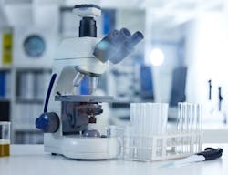 66e4565ac43af927517a40e4 Shutterstock 2475093333 66e4565ac43af927517a40e4 Shutterstock 2475093333