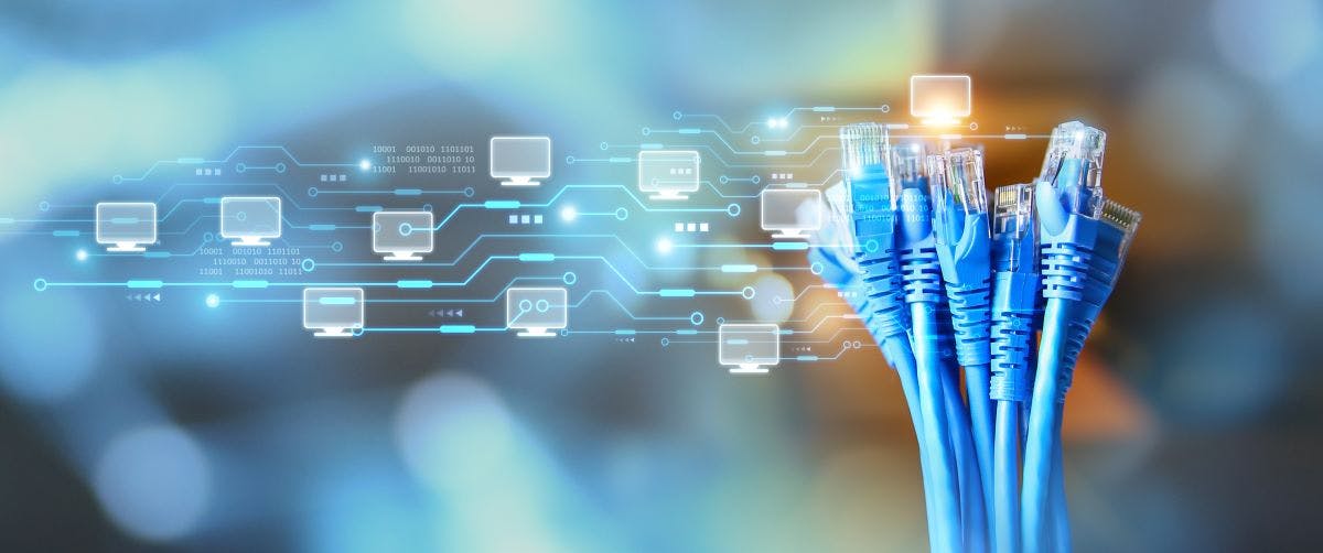 shutterstock_2426424907