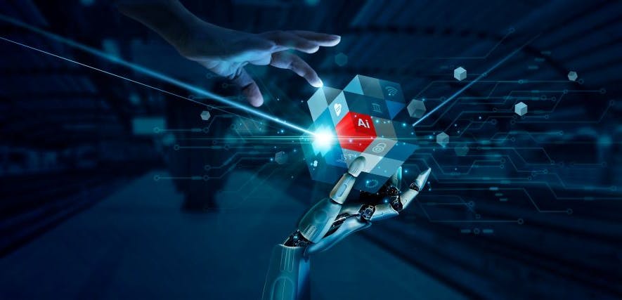 shutterstock_2461090373