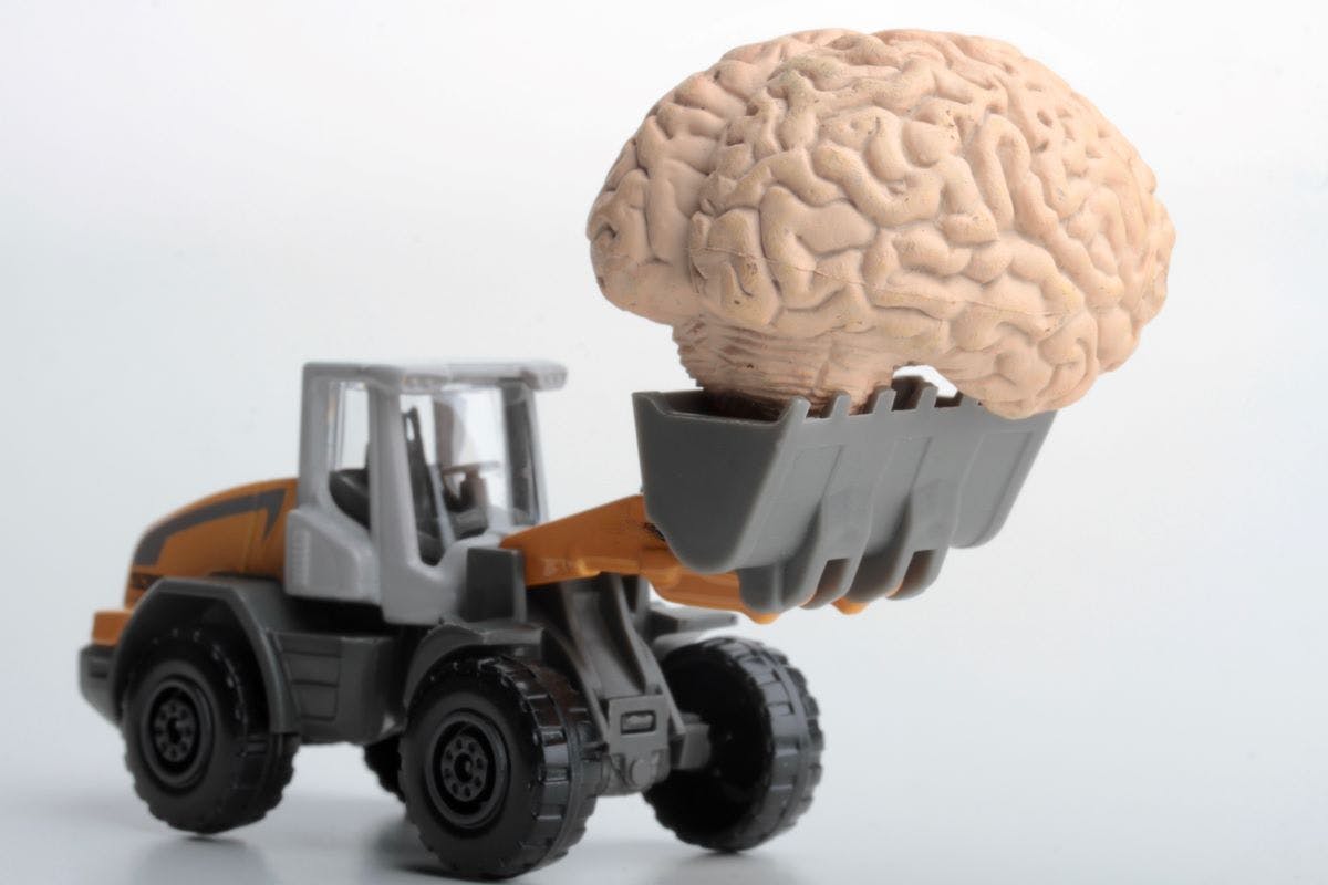 shutterstock_2226232223