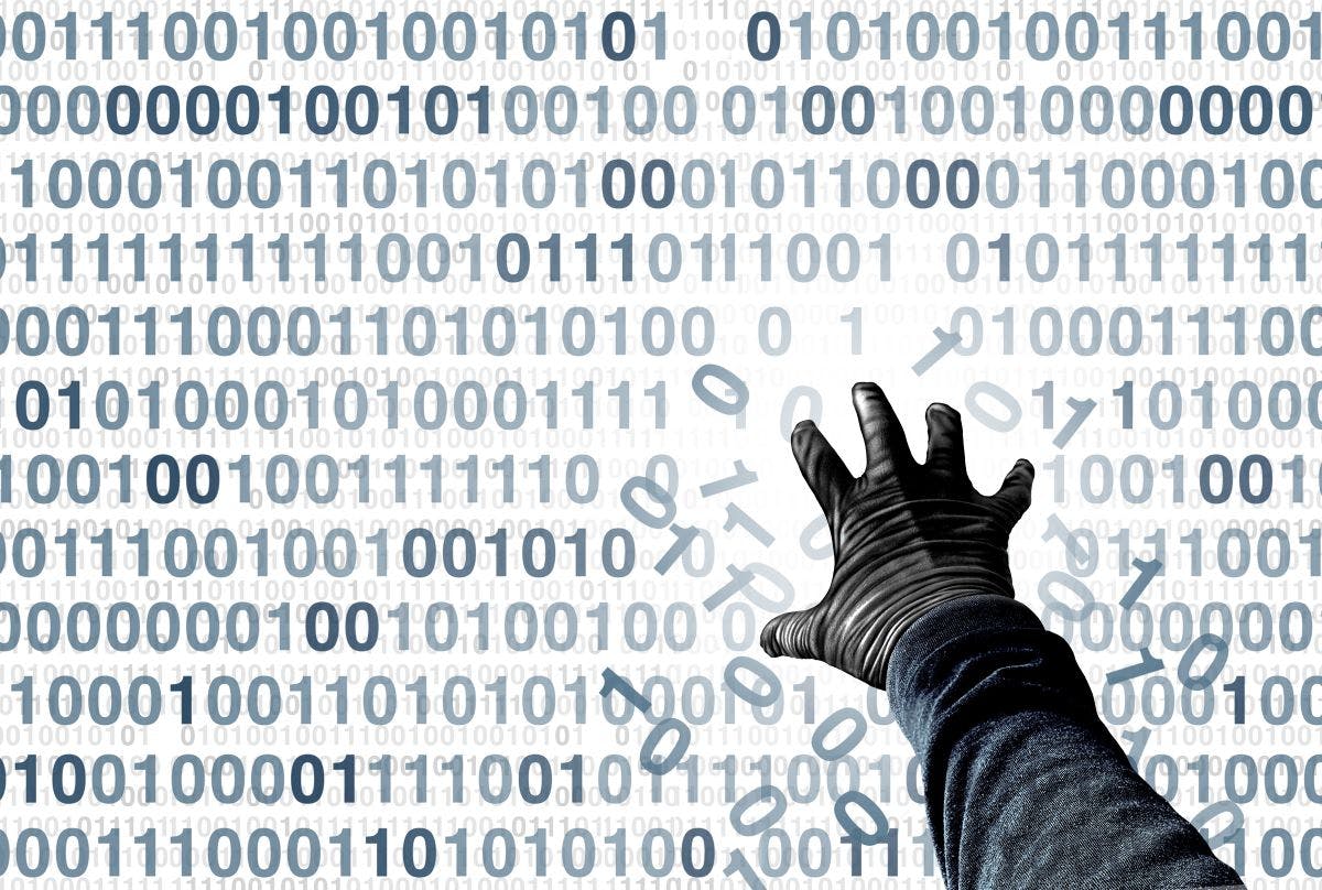 67043d3fe1fd4a7dc3e2e6cb Shutterstock 2367218585