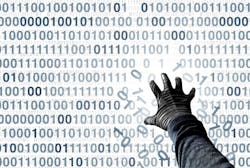 67043d3fe1fd4a7dc3e2e6cb Shutterstock 2367218585 67043d3fe1fd4a7dc3e2e6cb Shutterstock 2367218585