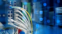 shutterstock_2435843379 shutterstock_2435843379