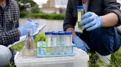 shutterstock_2394555737 shutterstock_2394555737