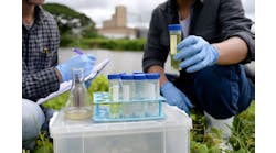 shutterstock_2394555737 shutterstock_2394555737