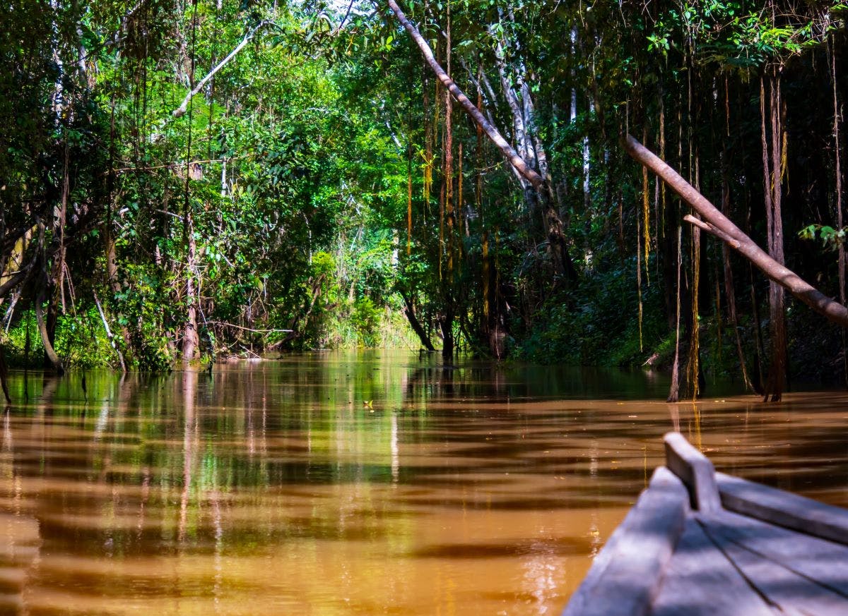 shutterstock_2324657777