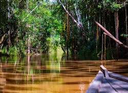 676487e2f7203d4ab1a2e975 Shutterstock 2324657777 676487e2f7203d4ab1a2e975 Shutterstock 2324657777