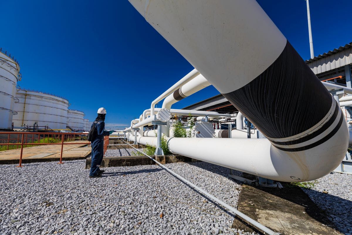 shutterstock_2504816025