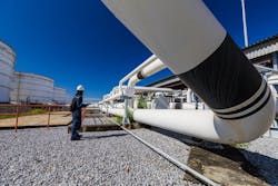 67979ba2a8885555de205eb7 Shutterstock 2504816025 67979ba2a8885555de205eb7 Shutterstock 2504816025