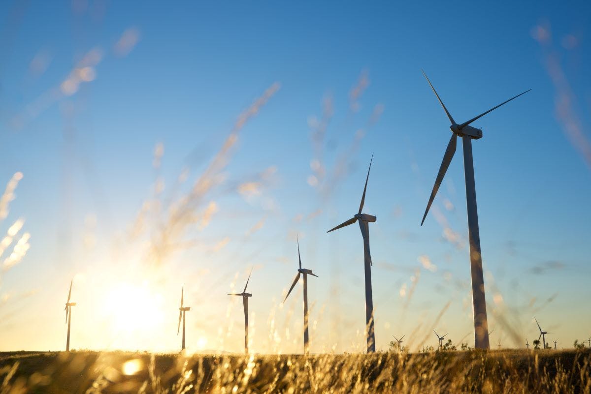 shutterstock_2476411179