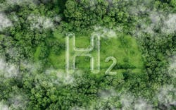 H2 symbol on the green in the forest H2 symbol on the green in the forest