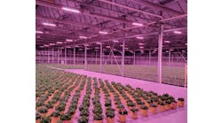 Figure 1: Experimenting with lighting and temperature at an indoor test garden, Costa Farms grows 1,500 varieties of houseplants on a total of 5,200 acres at production facilities in the southeastern U.S. Figure 1: Experimenting with lighting and temperature at an indoor test garden, Costa Farms grows 1,500 varieties of houseplants on a total of 5,200 acres at production facilities in the southeastern U.S.