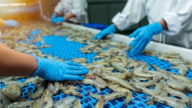 Quality inspection of farmed shrimp on a conveyor of a shellfish and pranws production plant