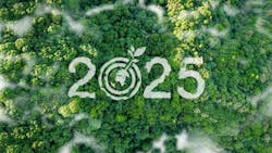 Drone top view, year 2025, in a large, lush forest Drone top view, year 2025, in a large, lush forest