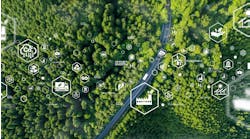 shutterstock_2495379443 shutterstock_2495379443