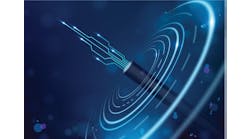 shutterstock_2350178555_converted shutterstock_2350178555_converted