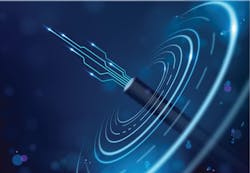 68b6f73ee07c57183ddfc31e Shutterstock 2350178555 Converted 68b6f73ee07c57183ddfc31e Shutterstock 2350178555 Converted