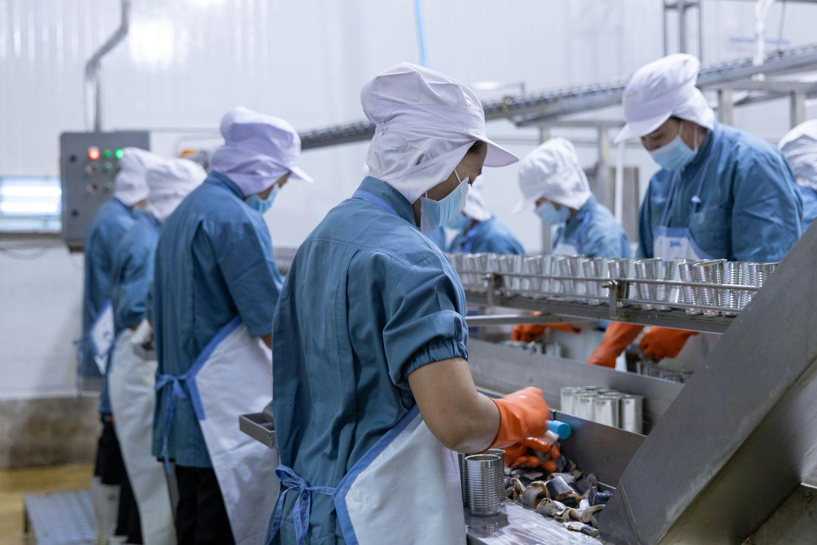 shutterstock_2616777837