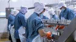 shutterstock_2616777837 shutterstock_2616777837