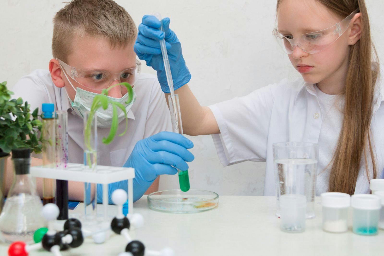 A girl and a teenager boy in a biochemical laboratory at a school are conducting experiments. On the table is a robot, test tubes, plants, a microscope. STEM & STEAM education. Scientific summer camp.