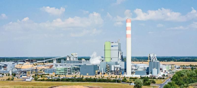 Mercer Stendal new pulp mill
