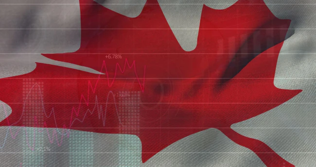 Image of statistical data processing against Canada flag in background.