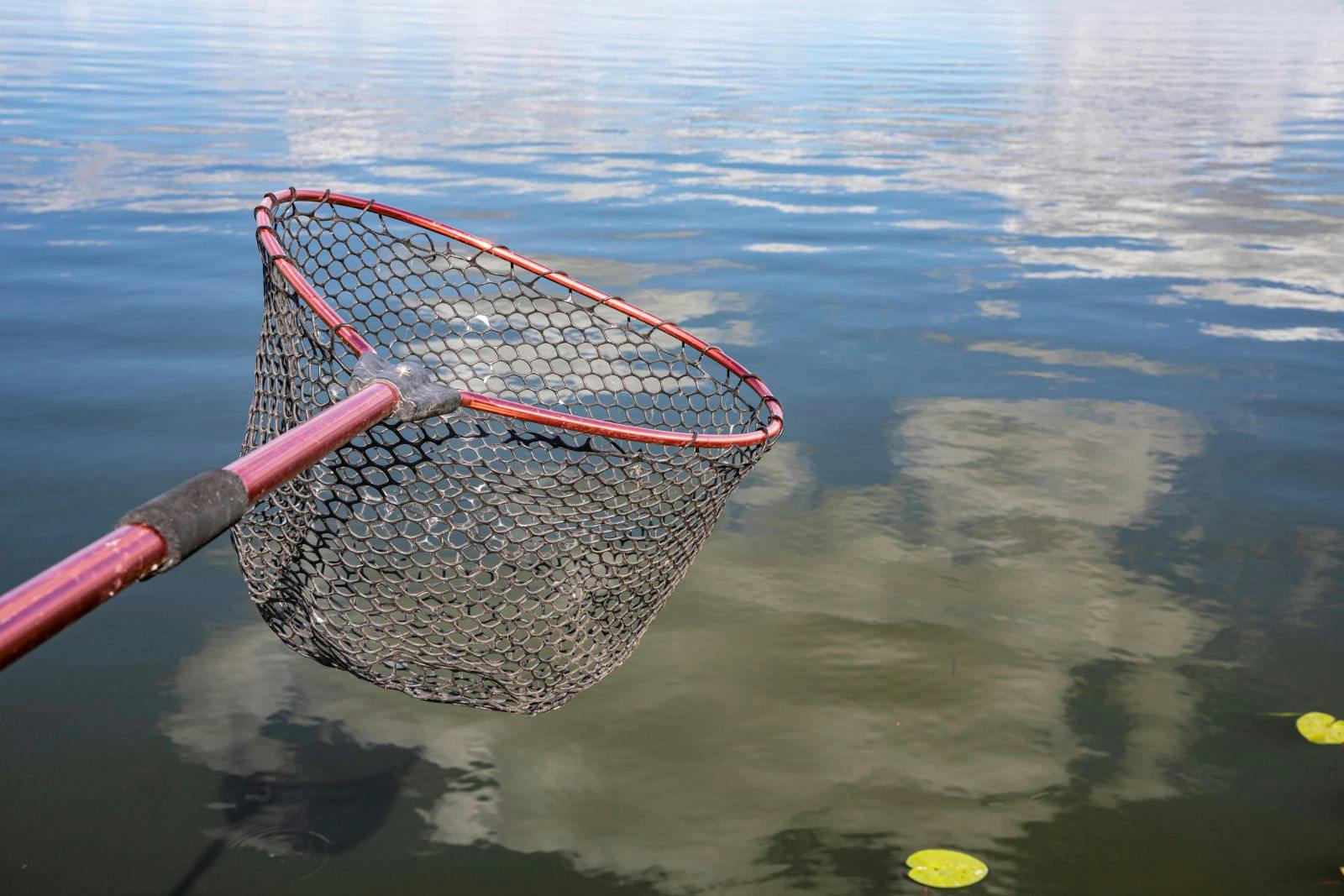 Fishing landing net held over calm water reflecting summer clouds