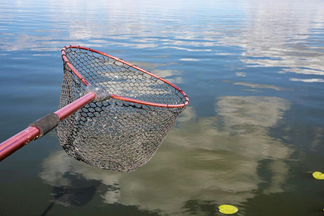 Fishing landing net held over calm water reflecting summer clouds